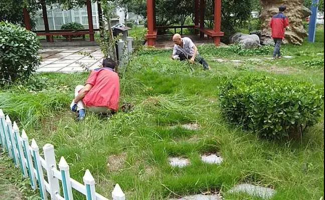 &#24320;&#20113;&#32593;&#39029;&#29256;&#95;&#24320;&#20113;&#40;&#20013;&#22269;&#41;&#23448;&#26041;