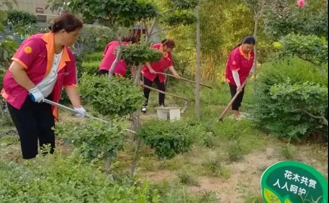 &#24320;&#20113;&#32593;&#39029;&#29256;&#95;&#24320;&#20113;&#40;&#20013;&#22269;&#41;&#23448;&#26041;