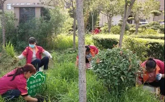 &#24320;&#20113;&#32593;&#39029;&#29256;&#95;&#24320;&#20113;&#40;&#20013;&#22269;&#41;&#23448;&#26041;